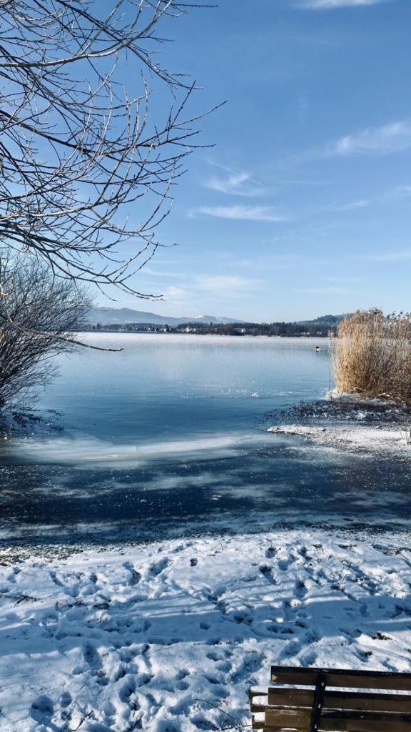 Apartman Lipenka Černá v Pošumaví Exterior foto